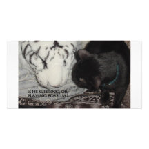 SLEEPING WHITE TIGER CUSTOMIZED PHOTO CARD