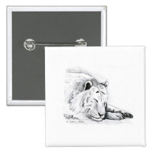 Sleeping White Tiger head and paws Pencil Drawing