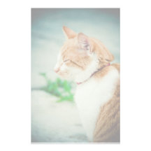 Sleepy cat customized stationery