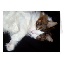 Sleepy cat greeting card
