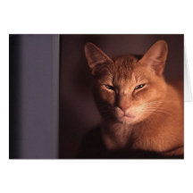 Sleepy cat greeting card