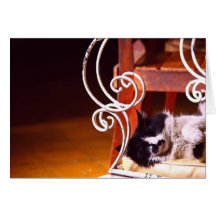 Sleepy cat greeting card