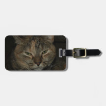 Sleepy Cat Luggage Tag
