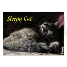 Sleepy Cat - Maine Coon Greeting Card