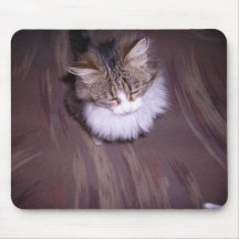 Sleepy cat mousepad
