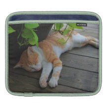Sleepy cat sleeve for iPads