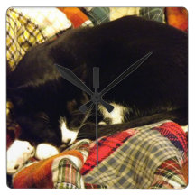 Sleepy Cat Square Wallclocks