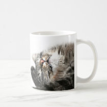 Sleepy cat wants coffee mugs