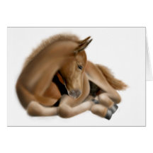 Sleepy Foal Card