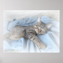 Sleepy Kitty (large poster)