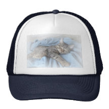 Sleepy Kitty Mesh Hat