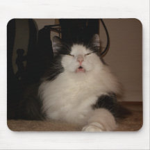 Sleepy Kitty Mousepad