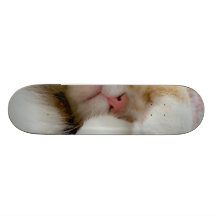 Sleepy Kitty Skate Deck