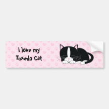 Sleepy Kitty {Tuxedo} Bumper Stickers
