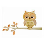 Sleepy Owl in Tree Post Cards