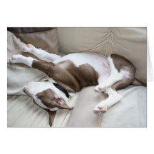Sleepy Puppy Greeting Cards