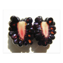 Sliced Blackberry ~ postcard