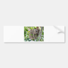 sloth bumper stickers