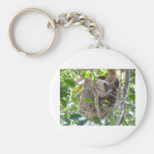 sloth key chains