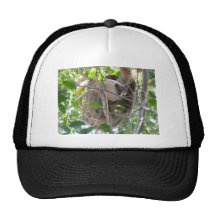 sloth mesh hat