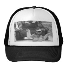 sloth with tank mesh hat