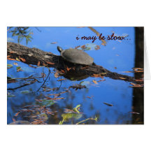 Slow Turtle Belated Birthday Card