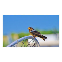 Small bird on a net business card template