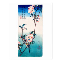 Small Bird On Sakura Branch 桜の枝にとまる小鳥 Postcards
