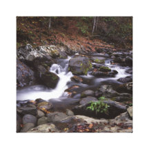 Small Cascade in the Smokies Canvas Print