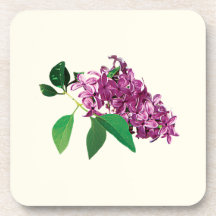 Small Cluster of Pink Lilacs Drink Coaster