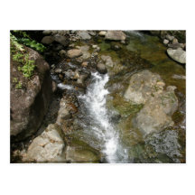 Small Creek in Dominica Postcard