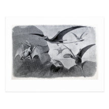 Small Flying Dragons Post Card