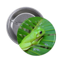 Small Green Frog Buttons