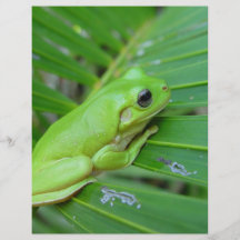 Small Green Frog Personalized Flyer