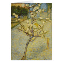Small pear tree in blossom Card