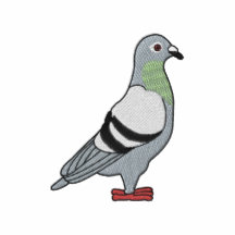 Small Pigeon