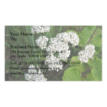 Small white flowers and buds business card