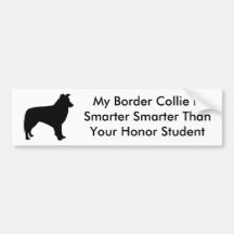Smart Border Collie Bumper Stickers