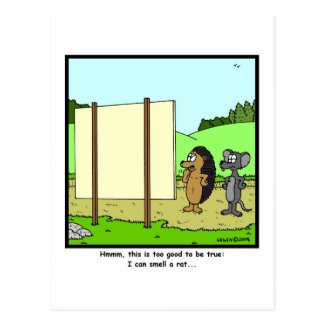 Smell a rat: Rat Cartoon Postcard
