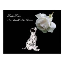 Smell Roses Puppy Rose Affirmation Postcard