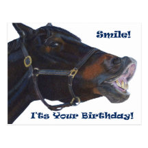 Smile!  It's Your Birthday! Horse Postcards