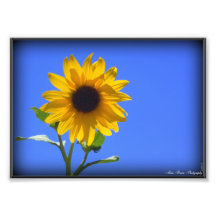Smile Photo Art