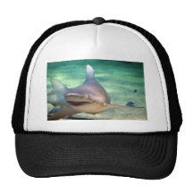 Smiley Shark Mesh Hats