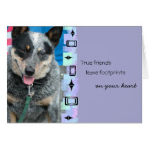 Smiling Australian Cattle Dog Birthday Greeting Card