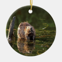 Smiling Beaver Christmas Ornaments