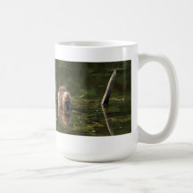 Smiling Beaver Coffee Mug