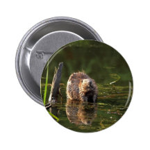 Smiling Beaver Pin