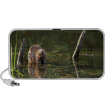 Smiling Beaver Travelling Speaker