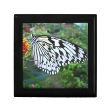 Smiling butterfly box jewelry box