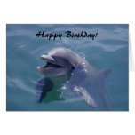 Smiling Dolphin Happy Birthday! Cards